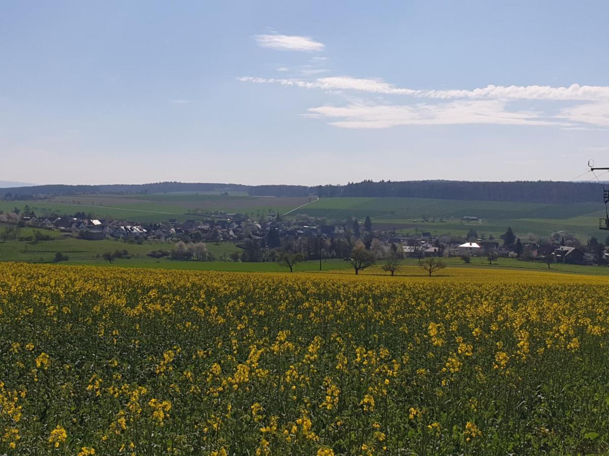 Pension Zum Adler Limbach  Exterior photo